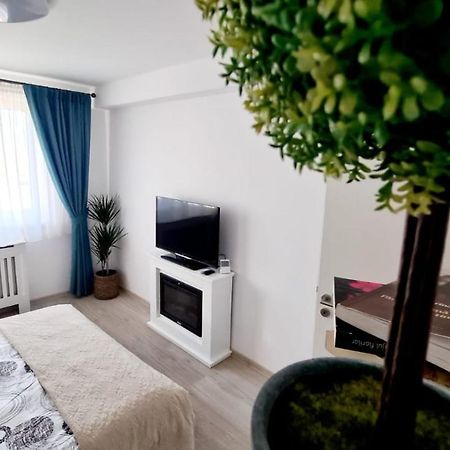 Апартаменты Cozy Studio Брашов Экстерьер фото
