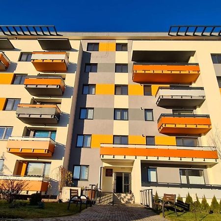 Апартаменты Cozy Studio Брашов Экстерьер фото
