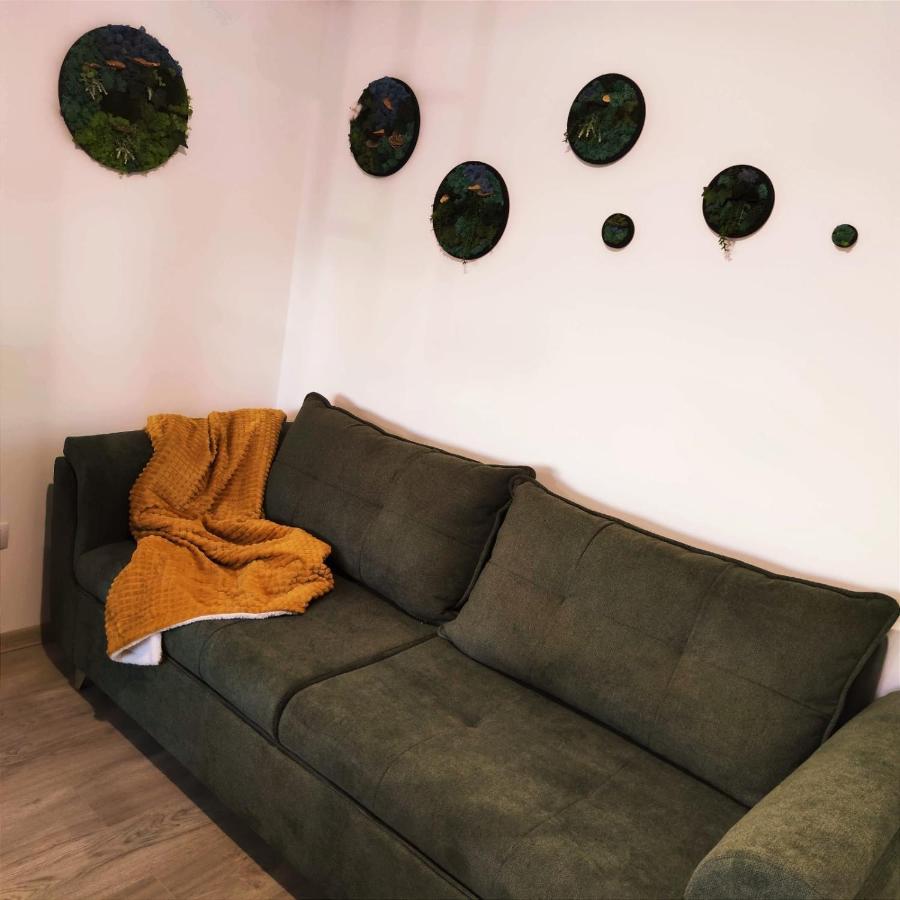 Апартаменты Cozy Studio Брашов Экстерьер фото