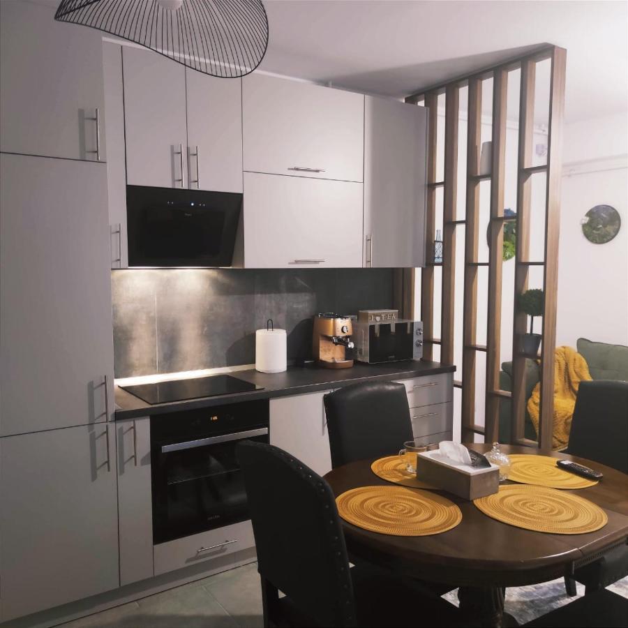 Апартаменты Cozy Studio Брашов Экстерьер фото